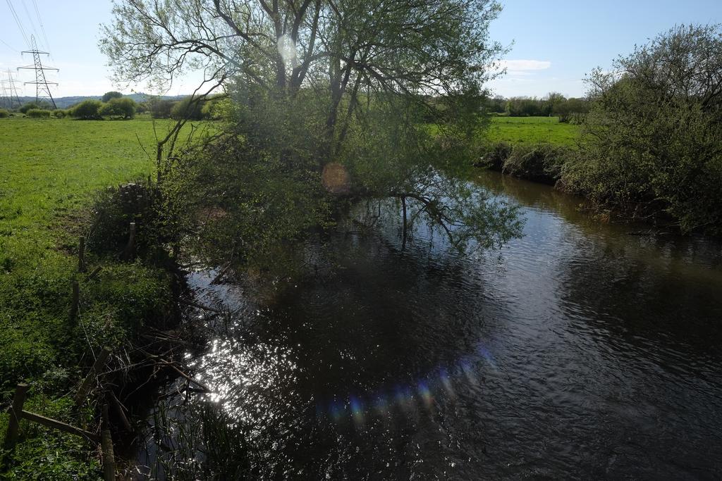 Culm Vale Country House Bed and Breakfast Stoke Canon Buitenkant foto